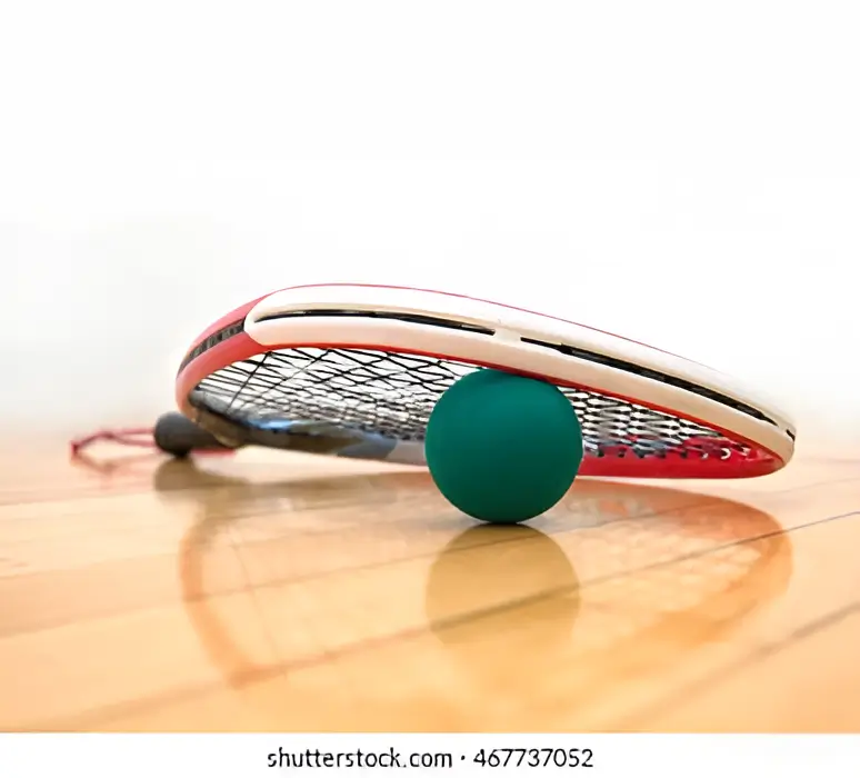 Indian Racquetball Impact